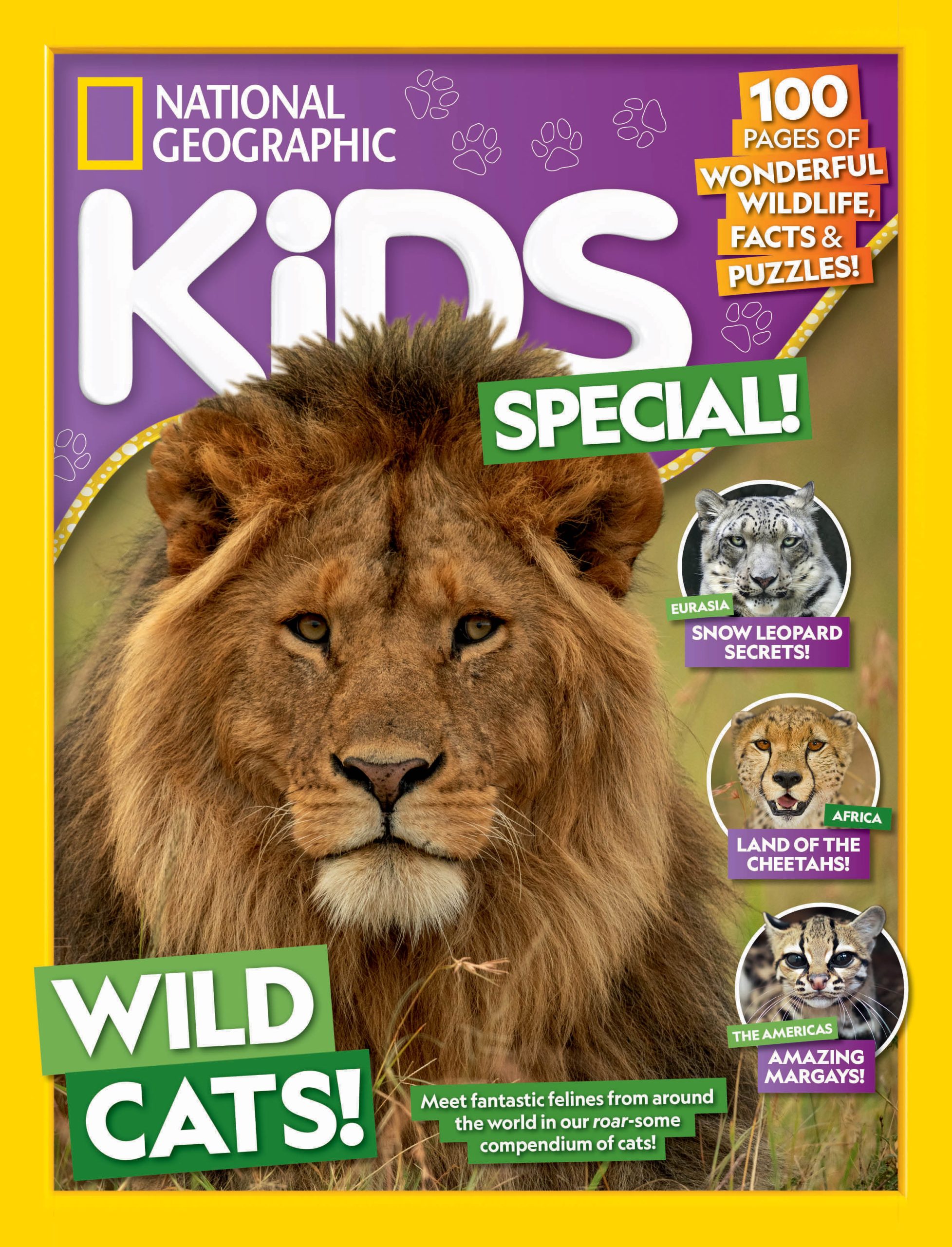 Nat Geo Kids Special – Wild Cats - NG Kids Shop